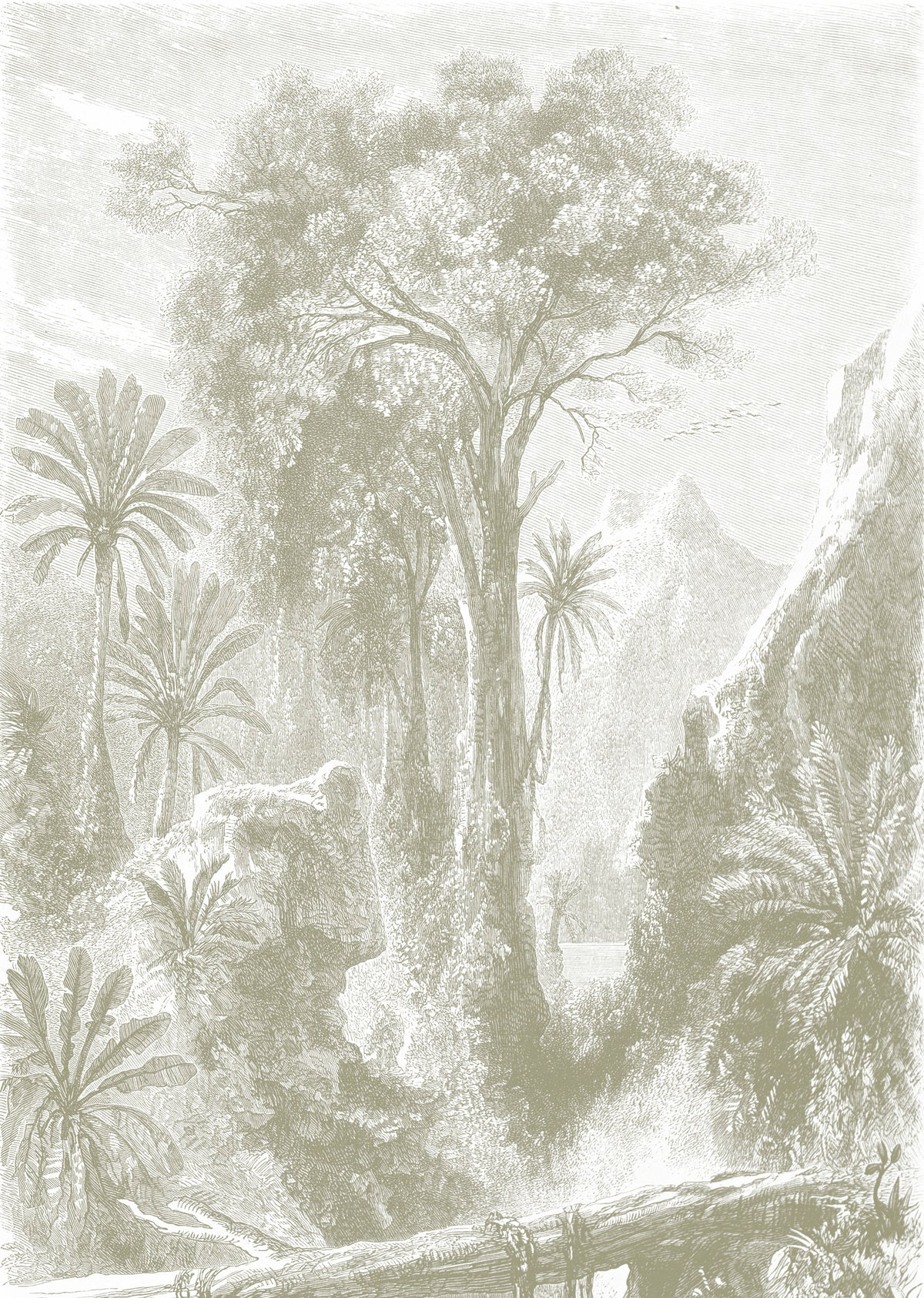 Papier peint panoramique Madagascar jungle