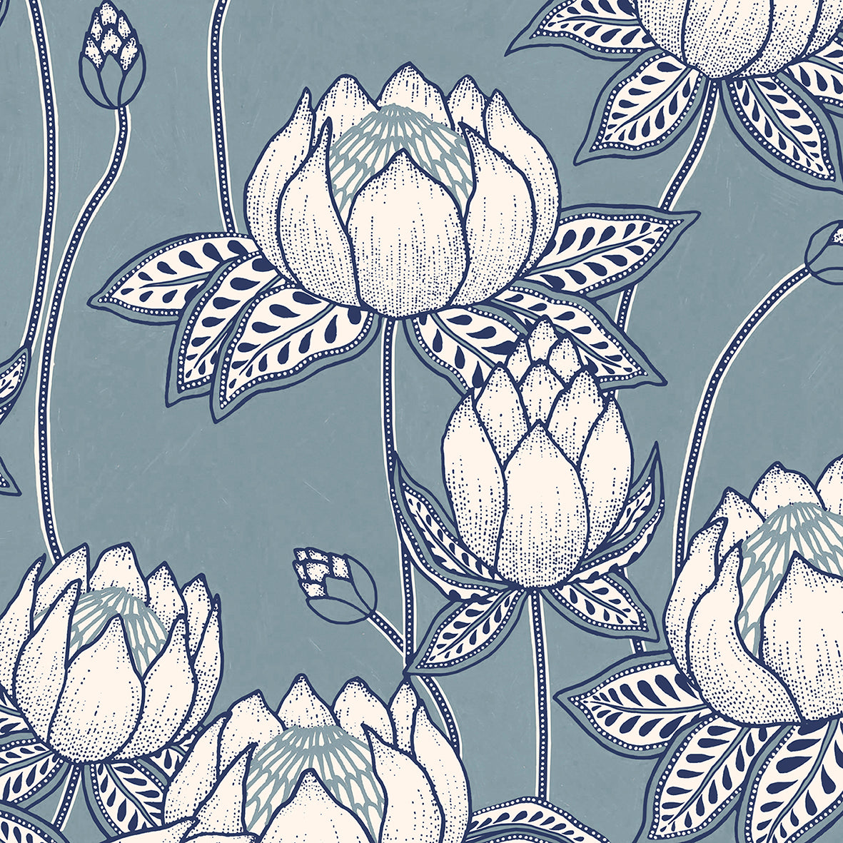 Protea #46 zoom_49