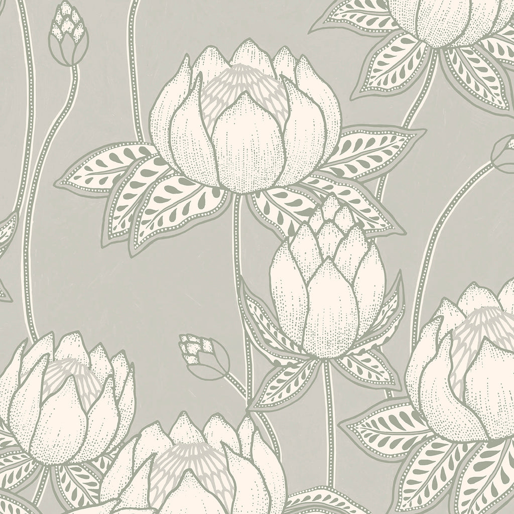 Protea #48 zoom_49