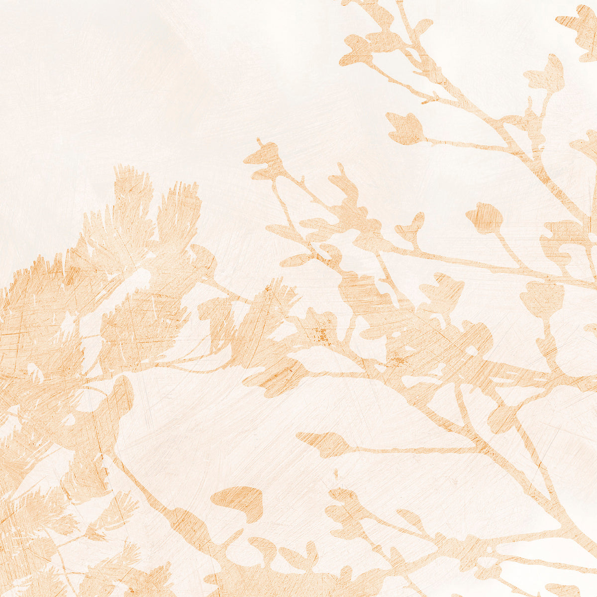 PDNTDL24-032 zoom_49
