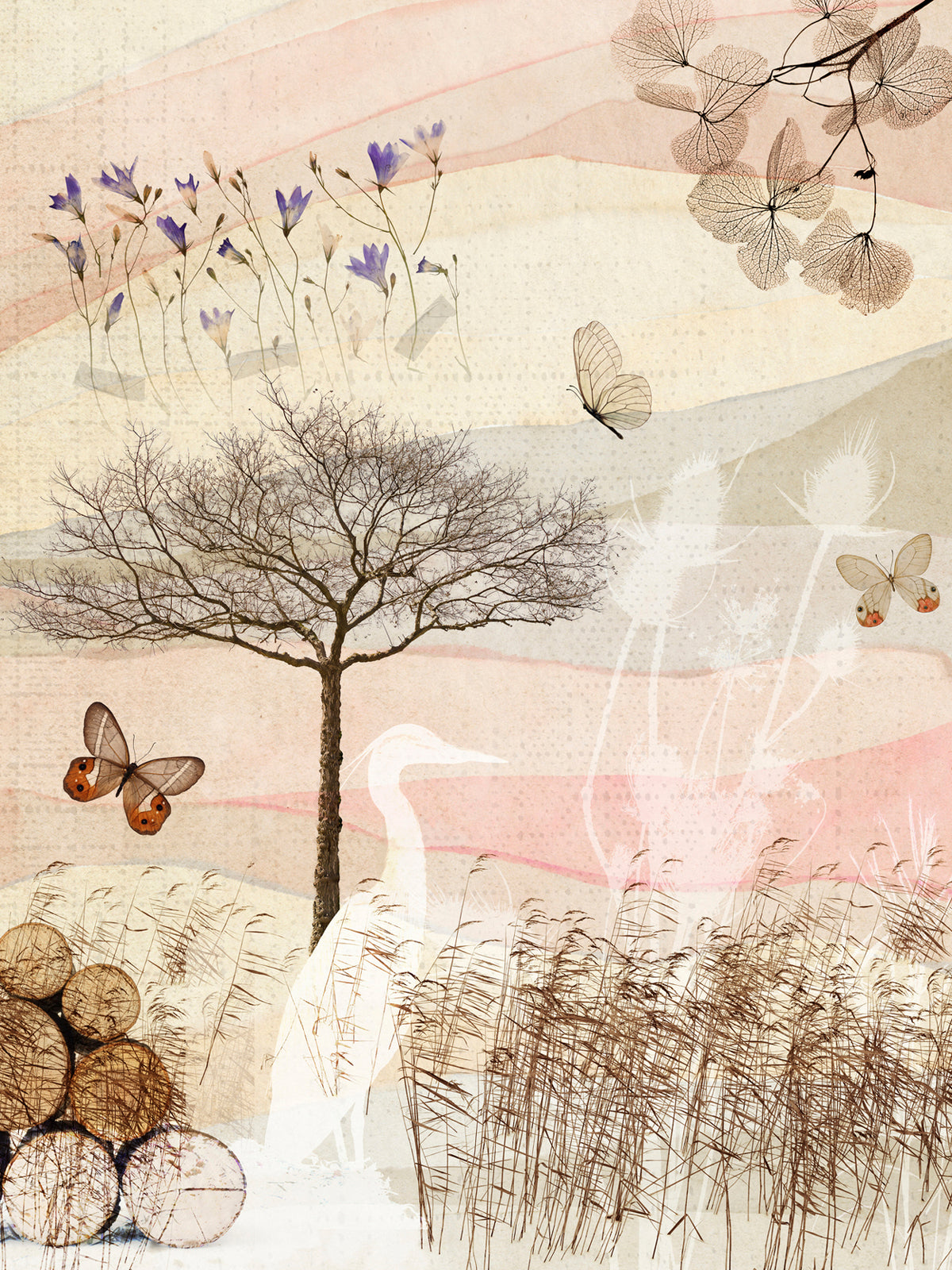 Poster adhésif Natura