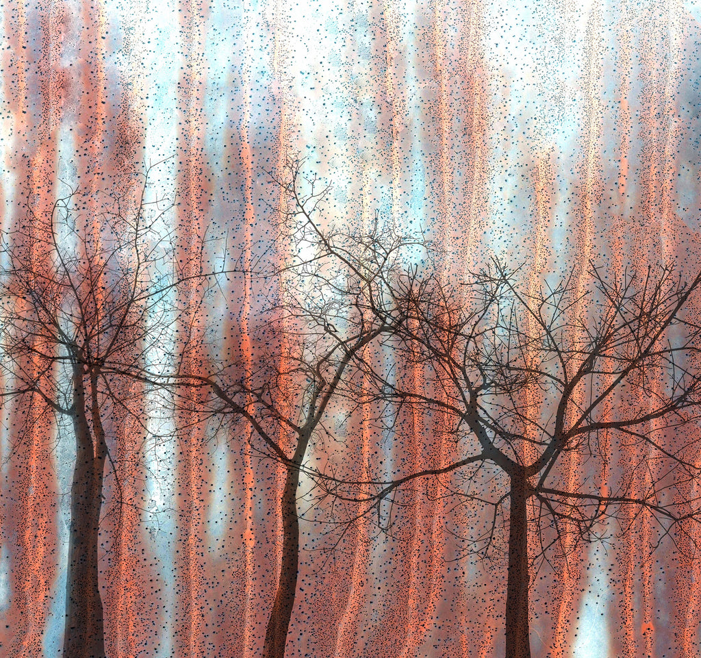 Papier peint panoramique Ash Trees