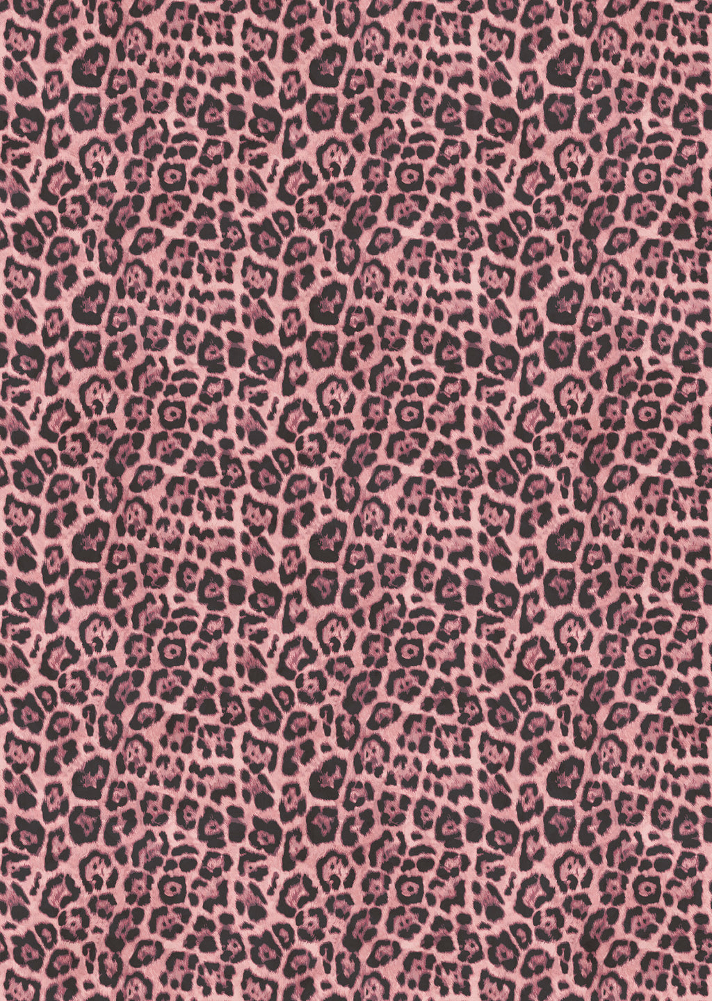 Leopard panoramic wallpaper