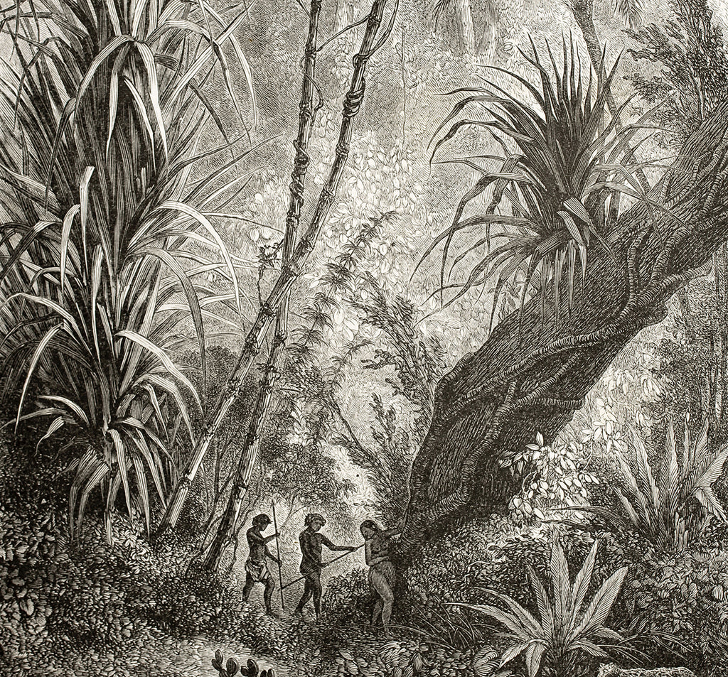 Papier peint panoramique Amazonia