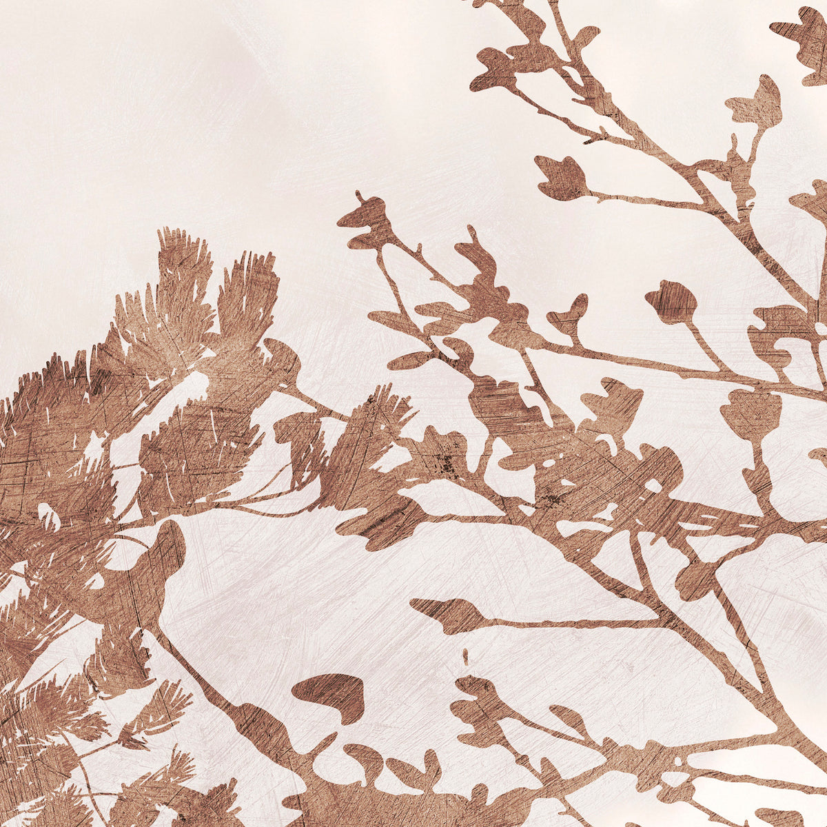 PDNTDL24-035 zoom_49