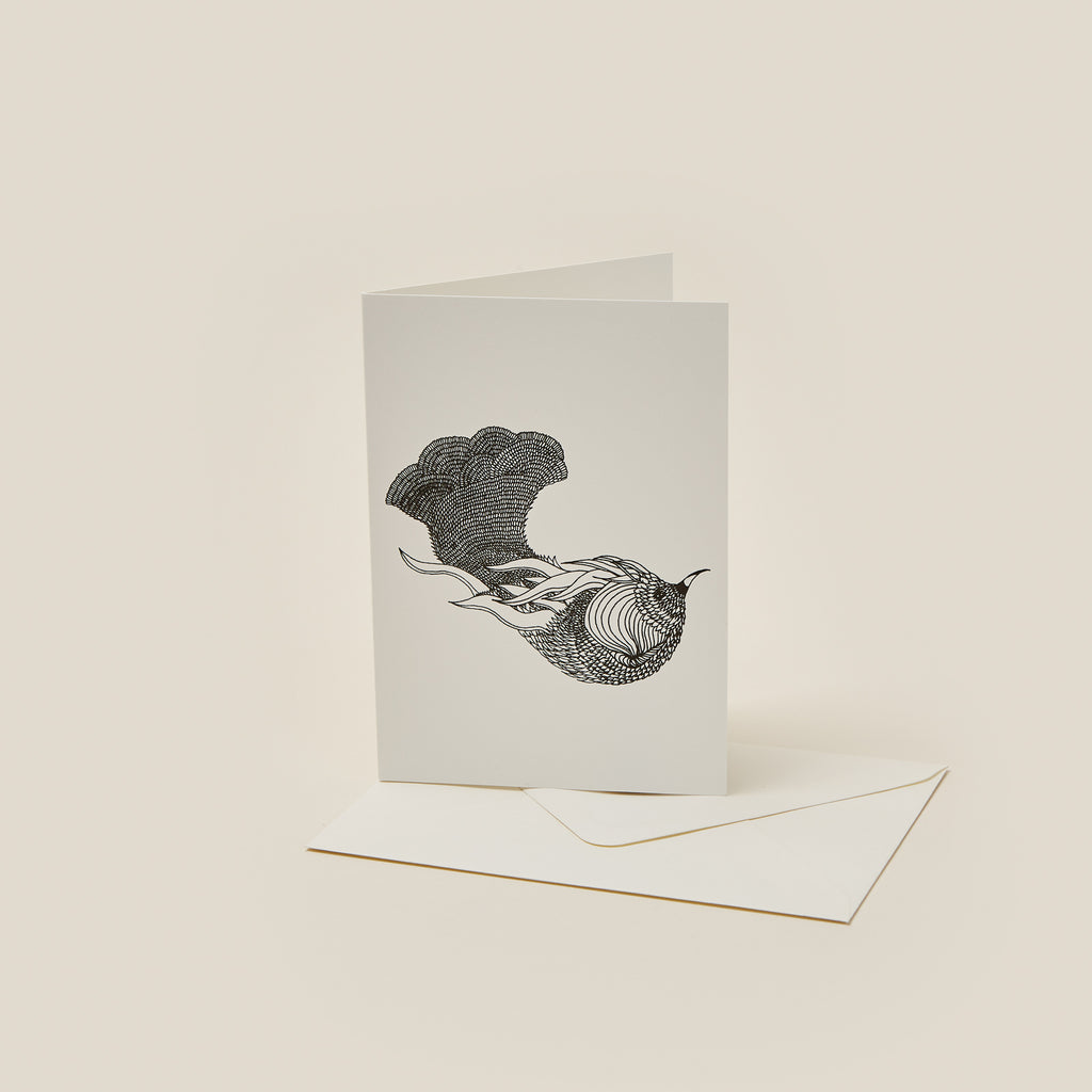 carte-a6-08
