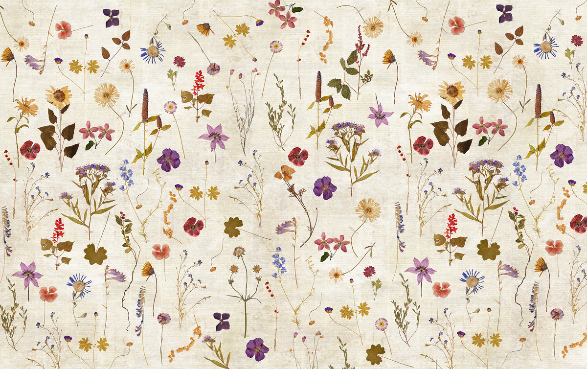 Papier peint panoramique Herbarium