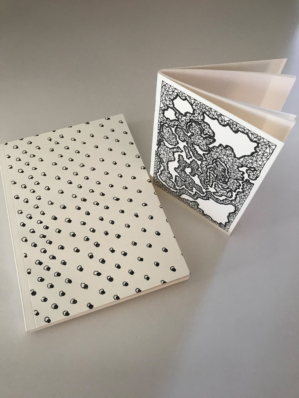Carnet A5 + carnet A6