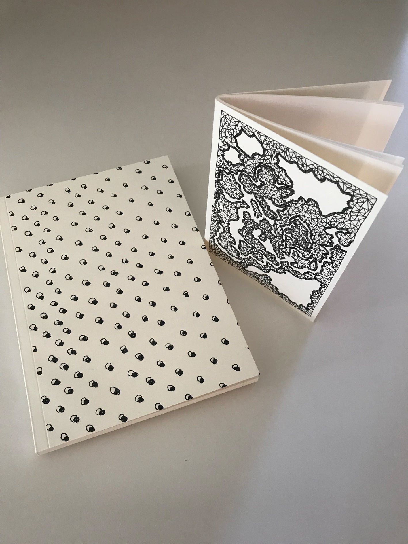 Carnet A5 + carnet A6