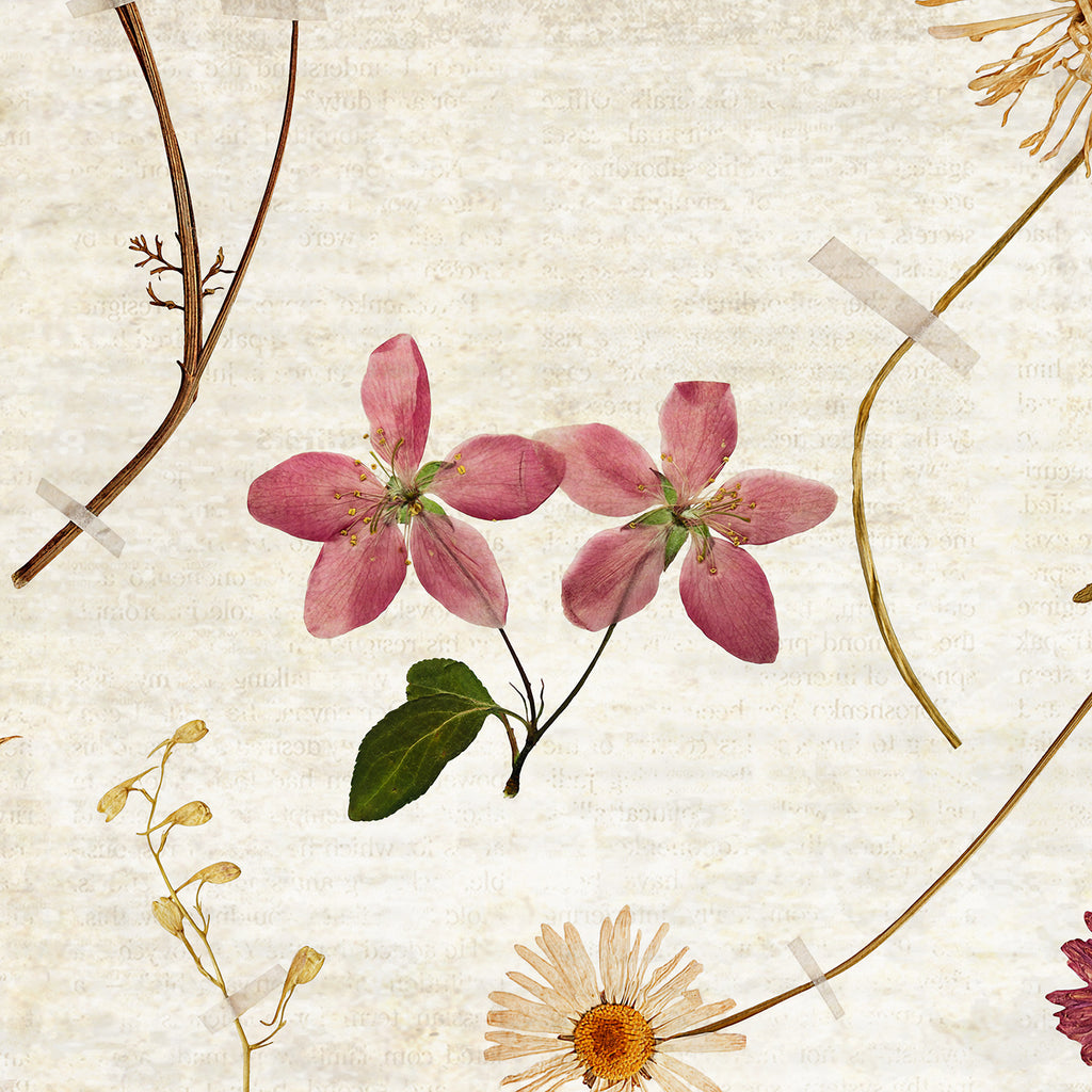 Papier peint panoramique Herbarium