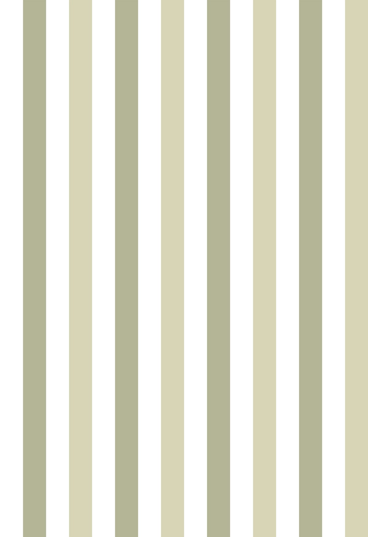 Papier peint à Rayures Majestueuses