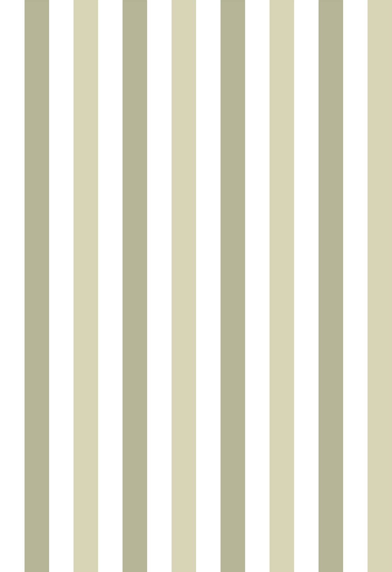 Papier peint à Rayures Majestueuses