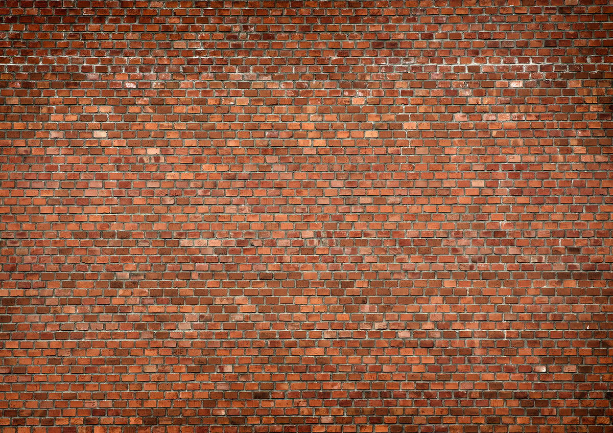 Papier peint panoramique Red Bricks