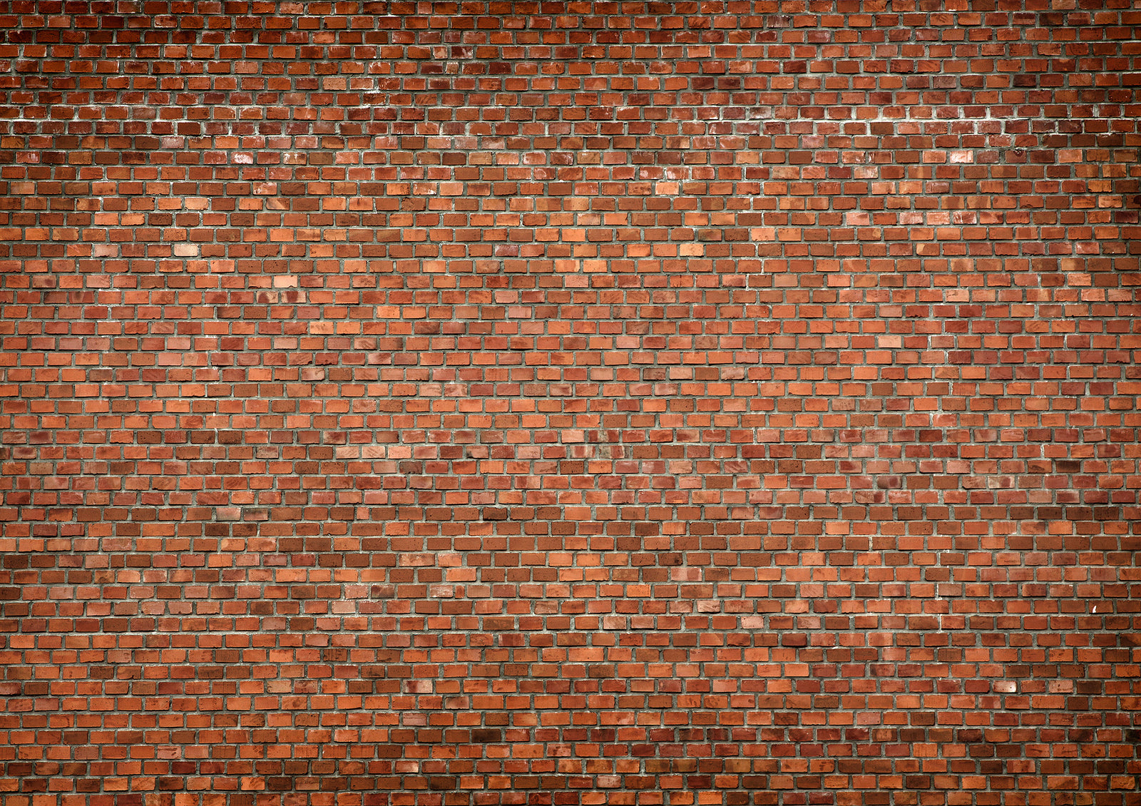 Papier peint panoramique Red Bricks