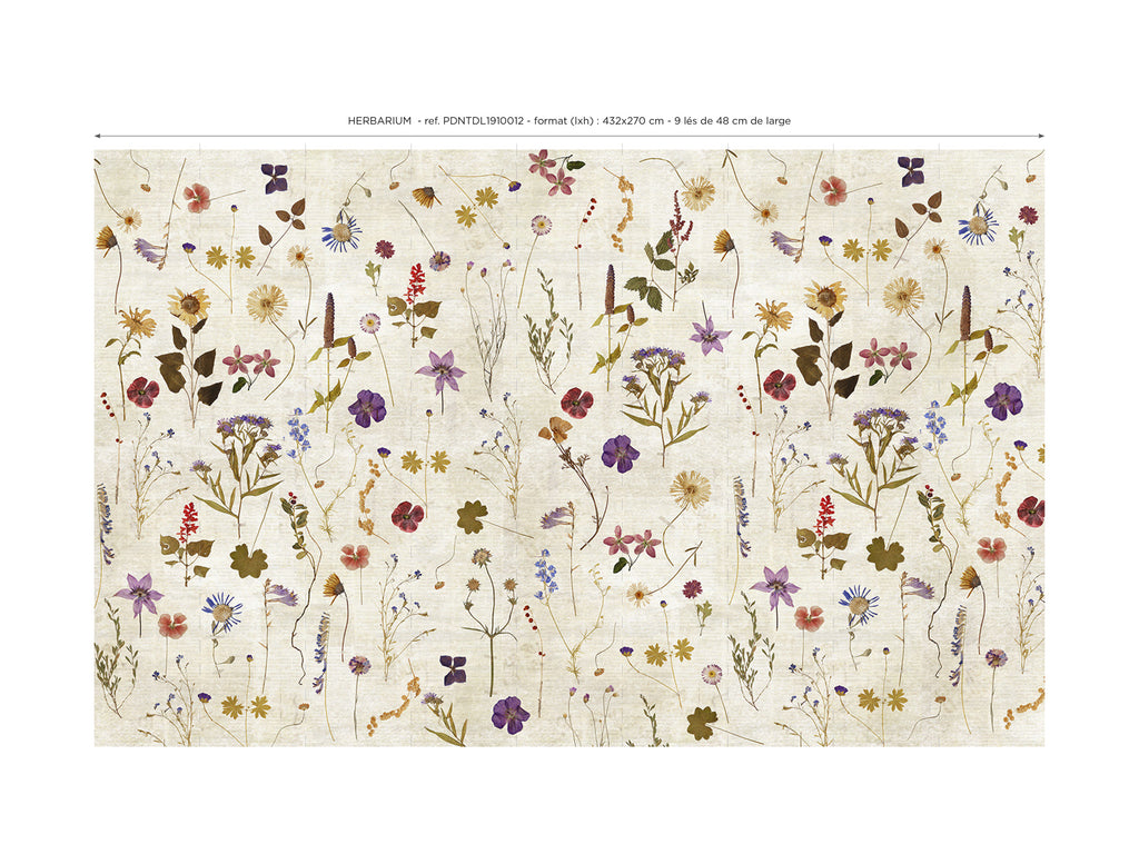 Papier peint panoramique Herbarium