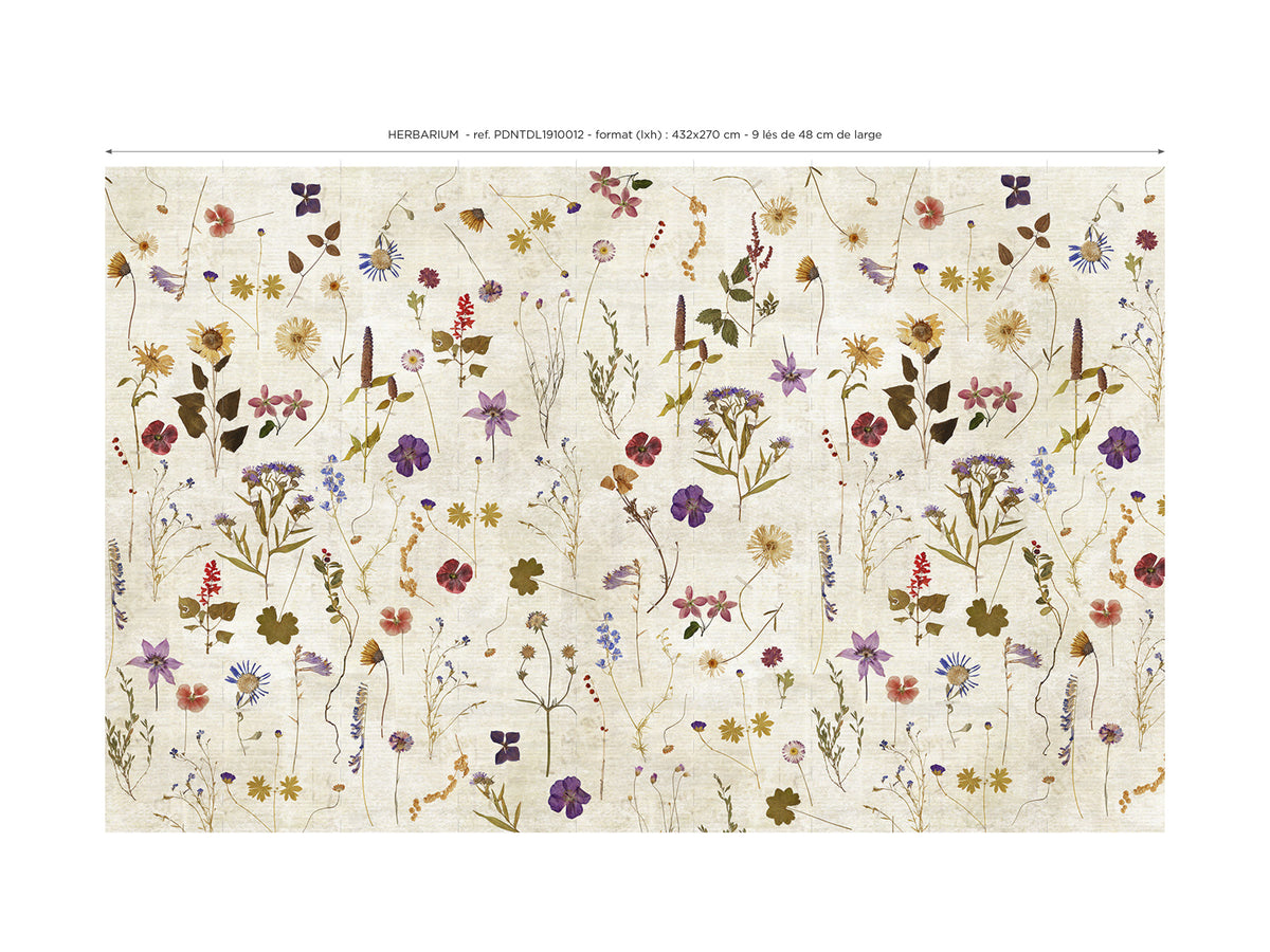 Papier peint panoramique Herbarium