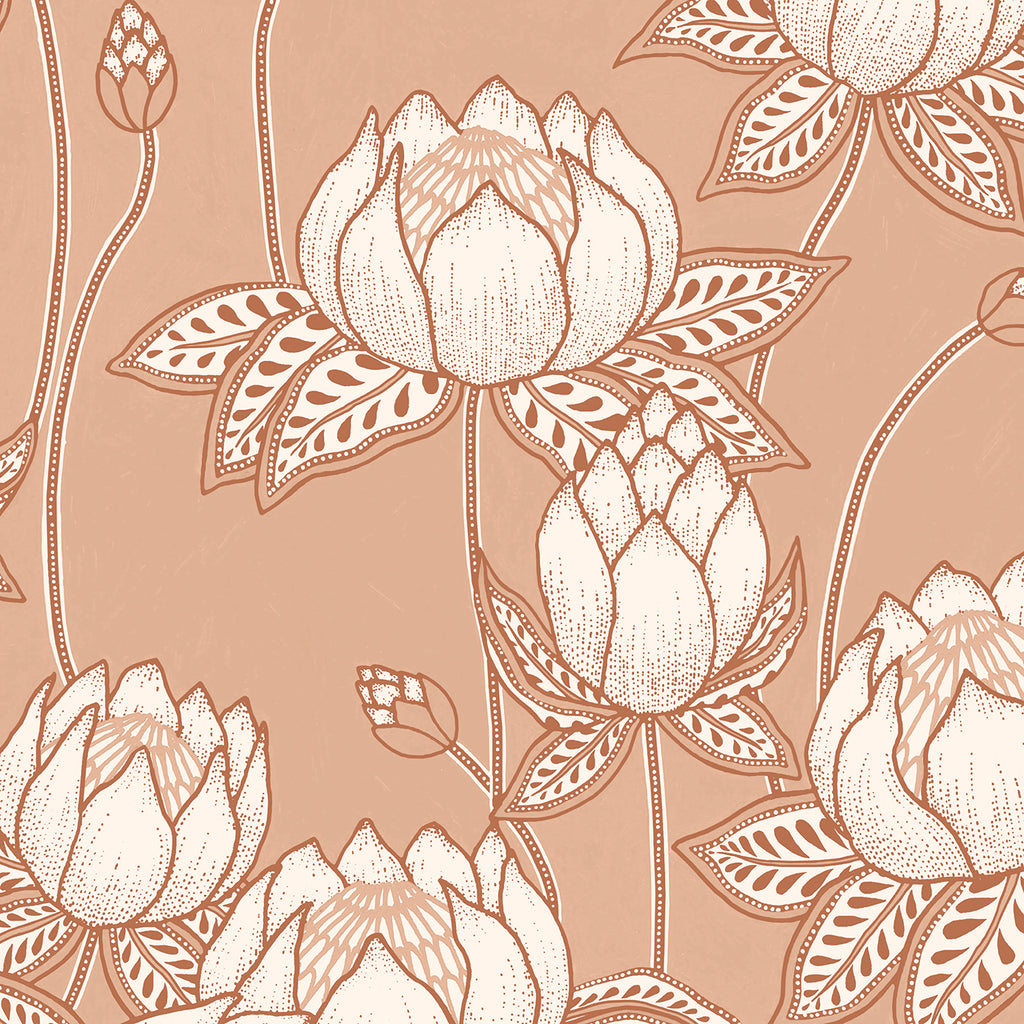 Protea #47 zoom_49