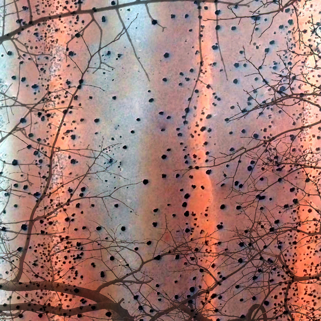 Papier peint panoramique Ash Trees