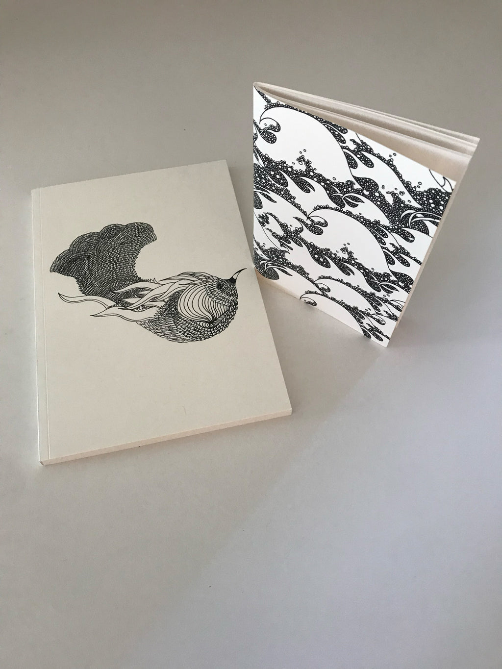Carnet A5 + carnet A6