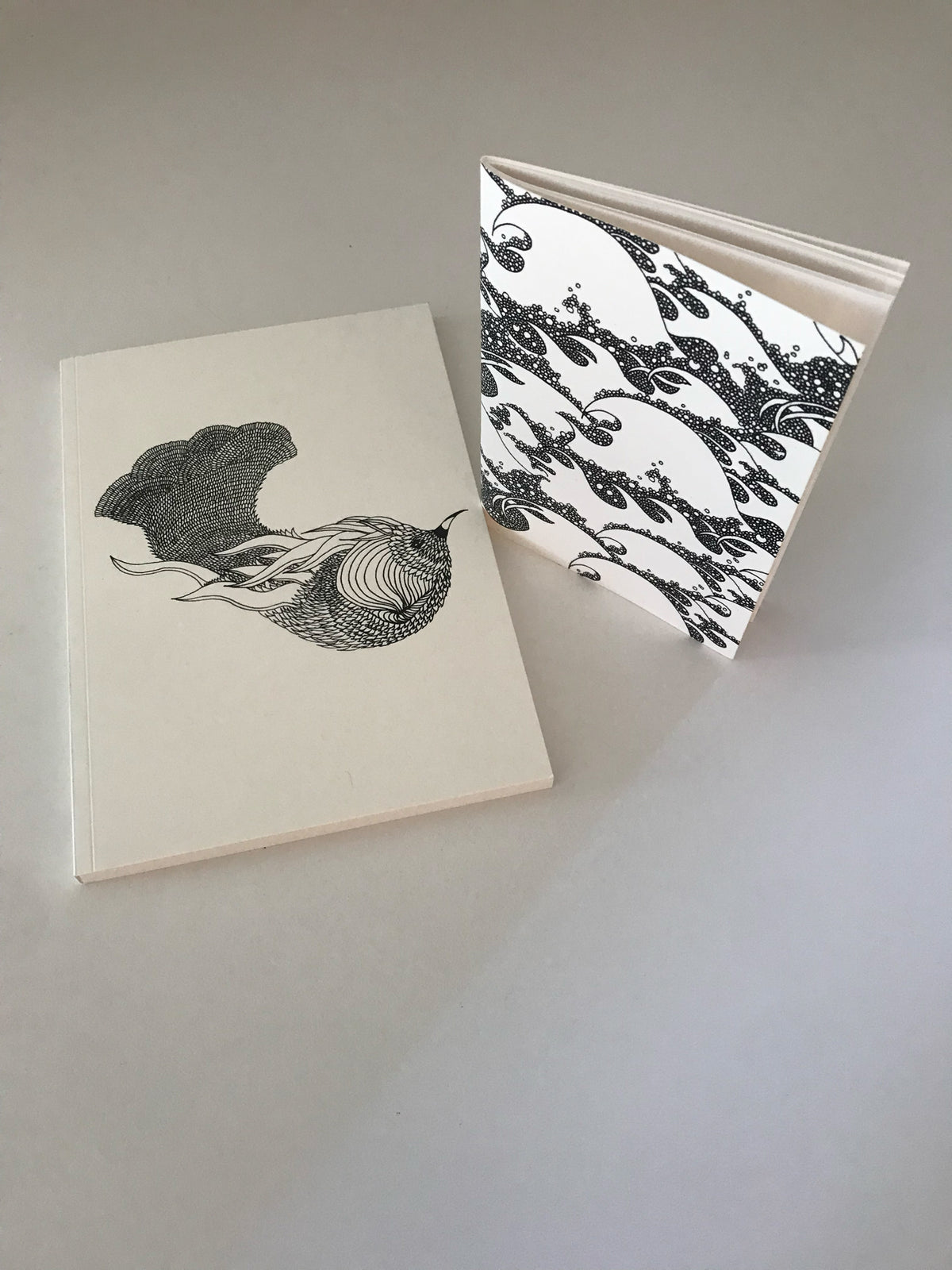 Carnet A5 + carnet A6
