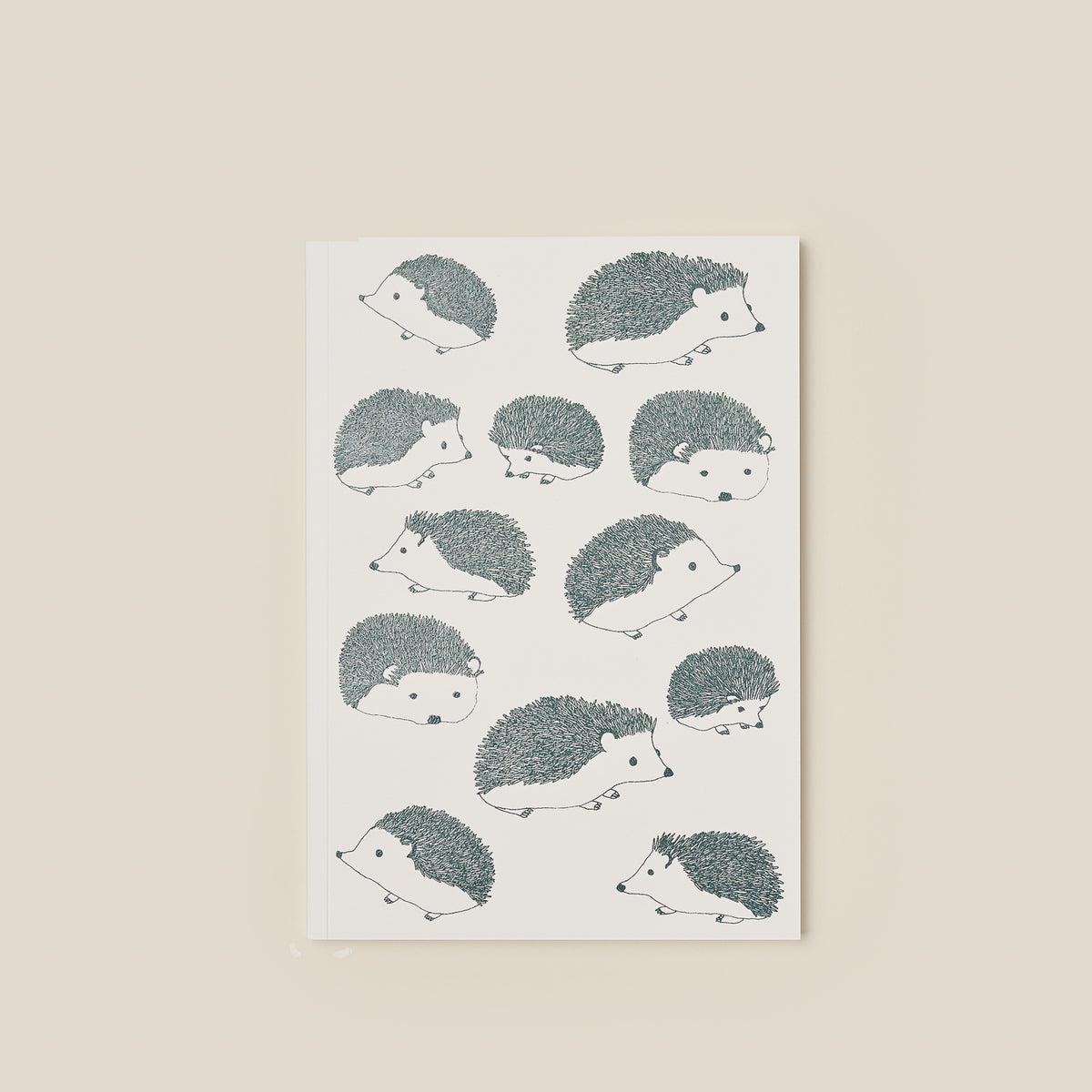 carnet-a5-42
