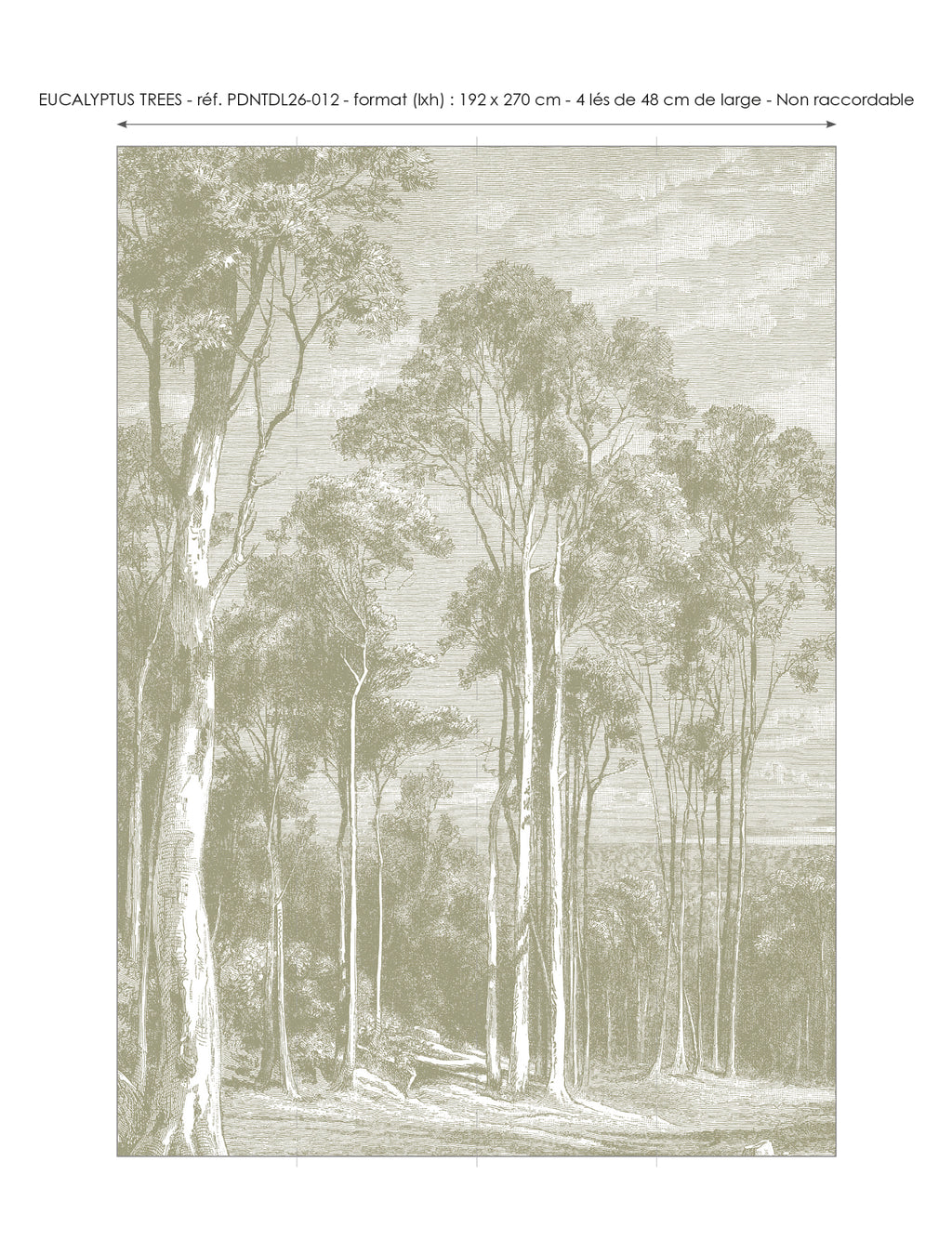 Papier peint panoramique Eucalyptus trees