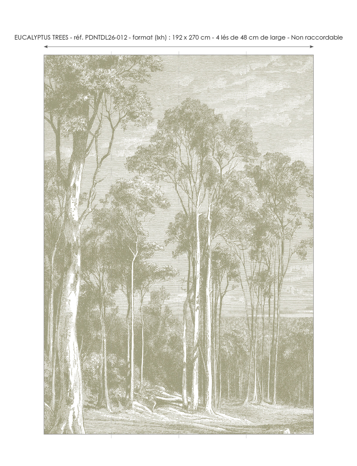 Papier peint panoramique Eucalyptus trees