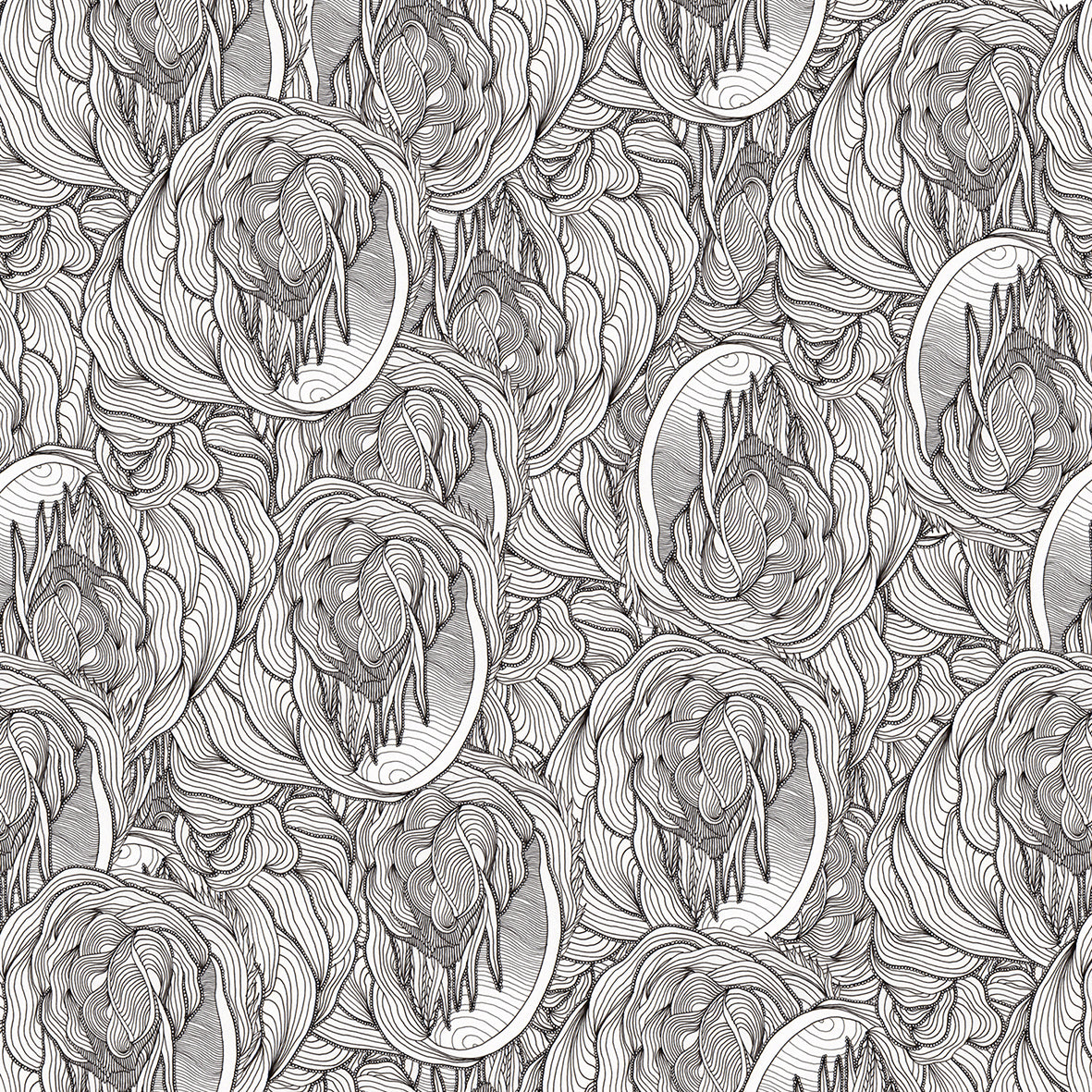 PP57-C01-NB zoom_49