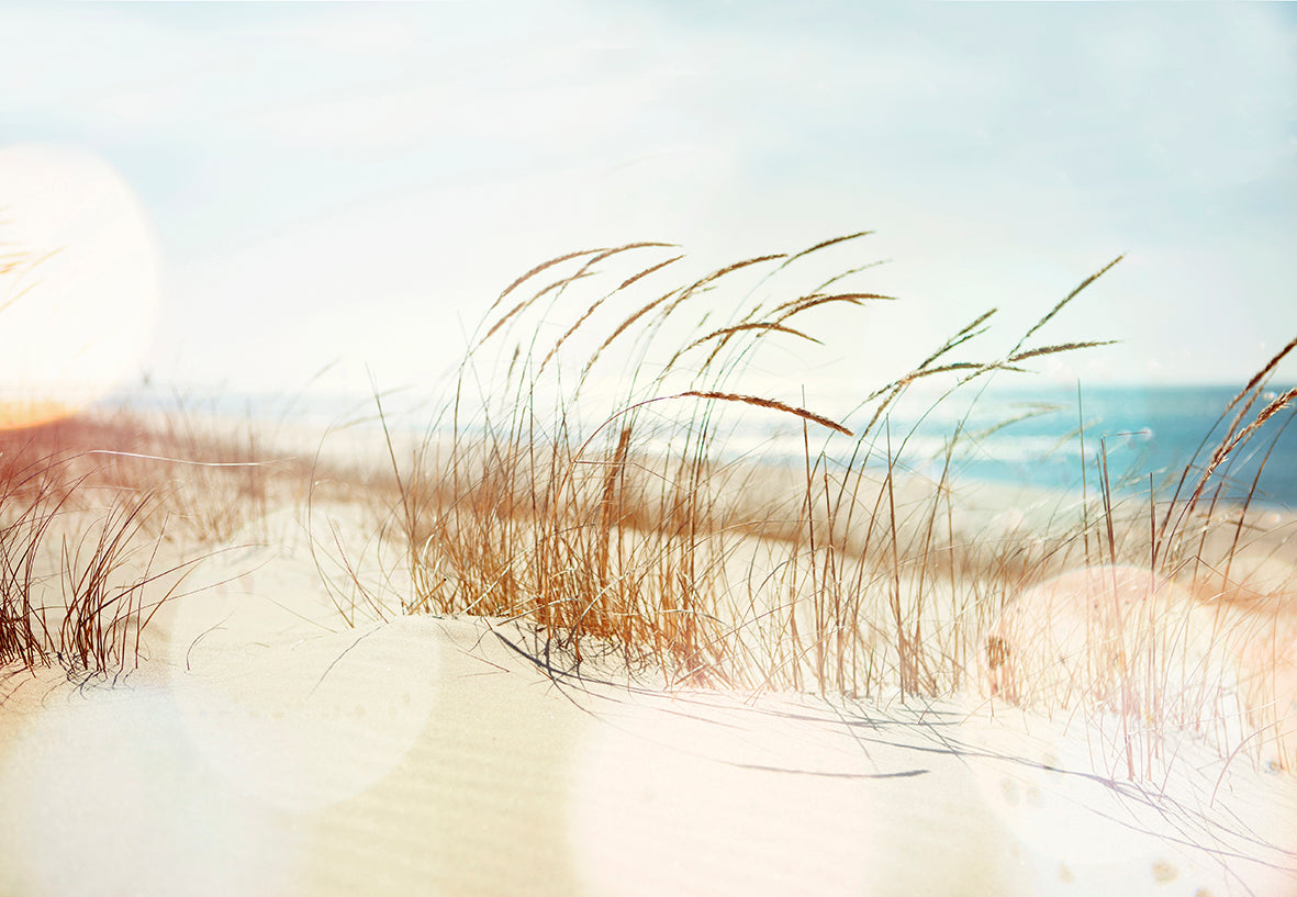 Papier peint panoramique Dune XL
