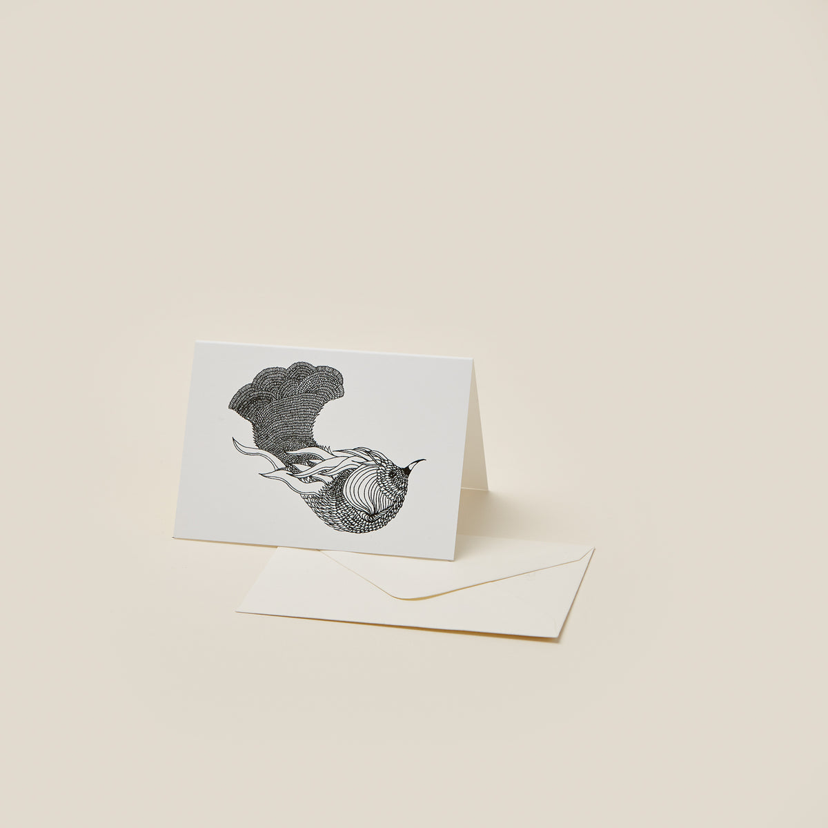 mini-carte-08