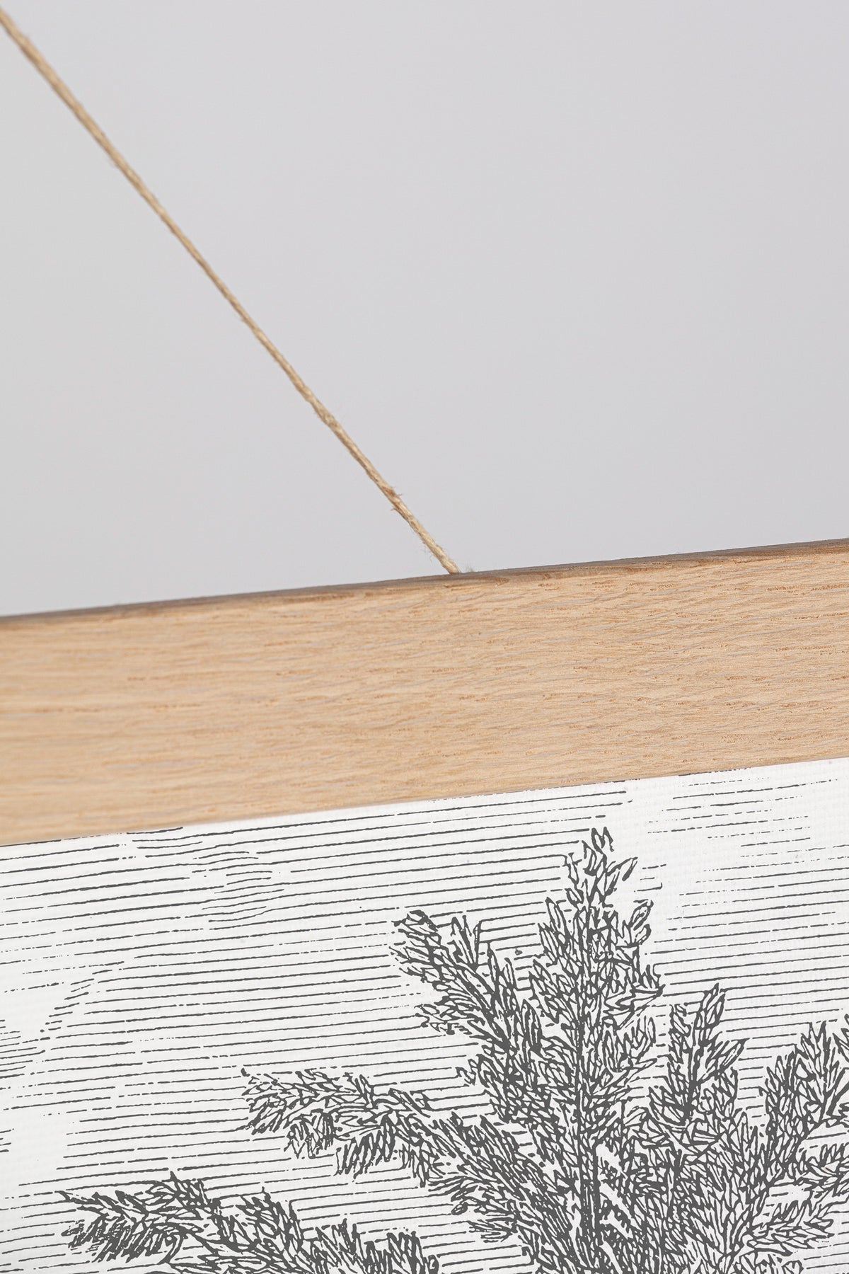 Phoenix Grey Hanging Canvas