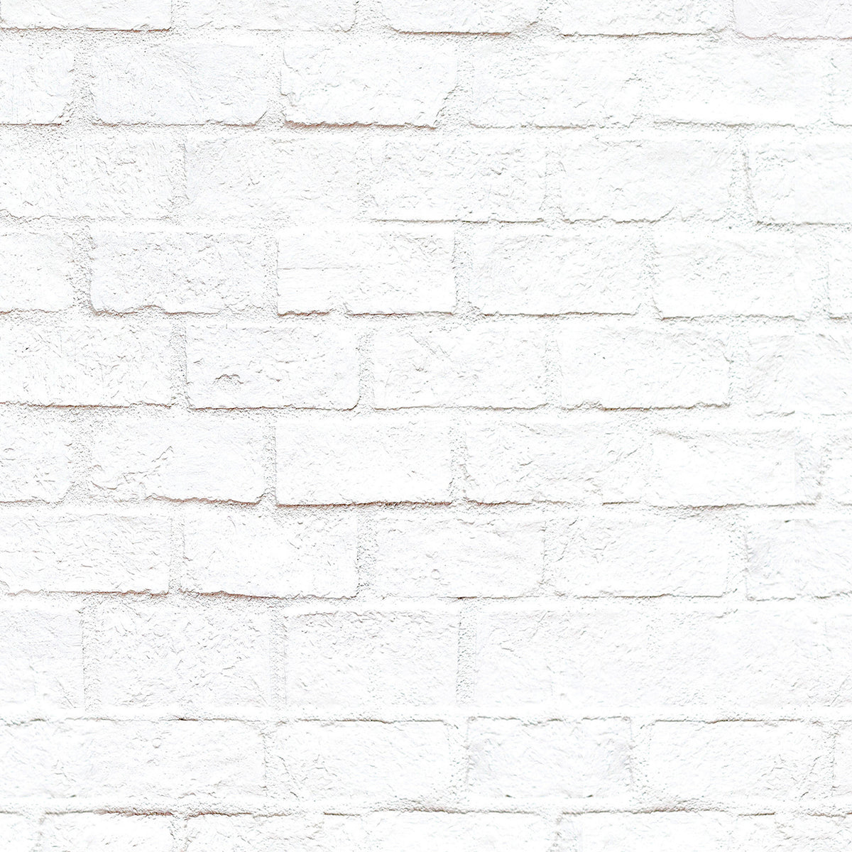 Papier peint panoramique The Wall