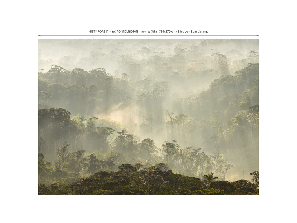 Papier peint panoramique Misty Forest