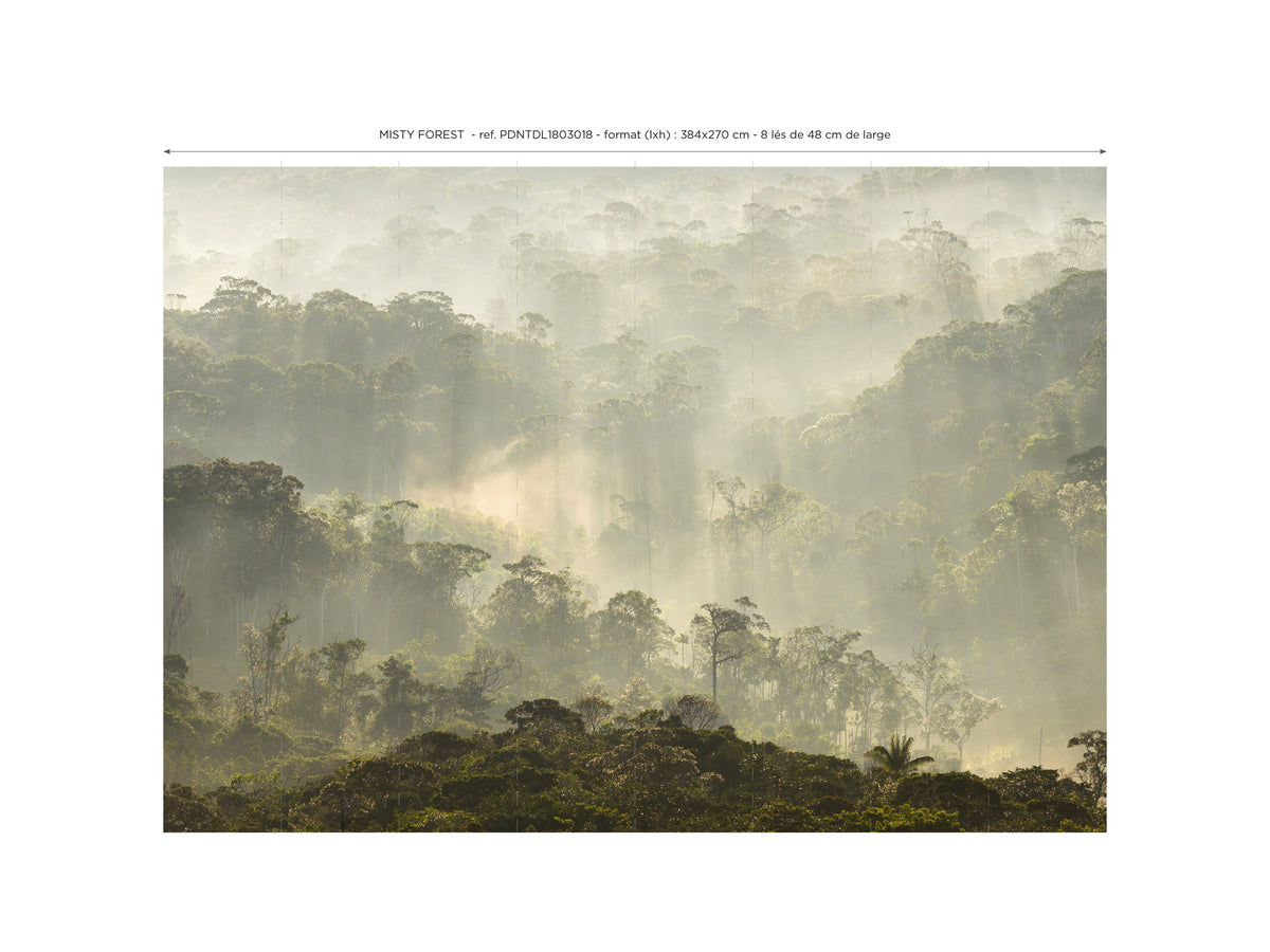 Papier peint panoramique Misty Forest