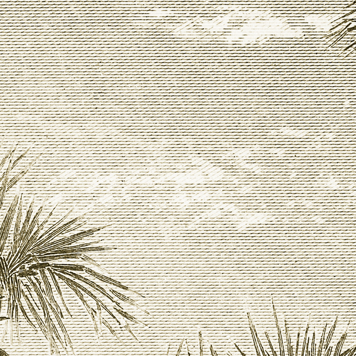 PDNTDL2002019 zoom_49