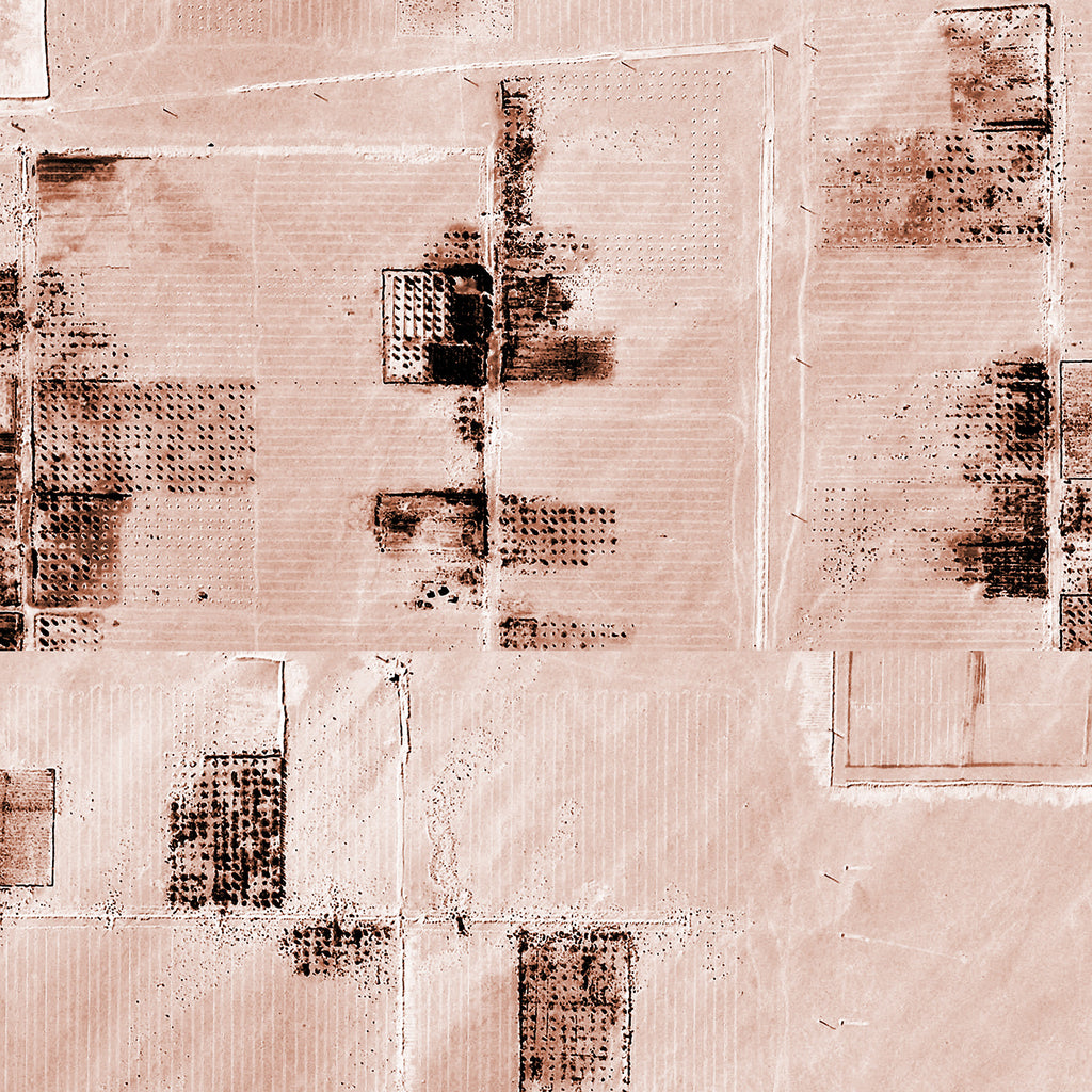 PDNTDL1912005 zoom_49