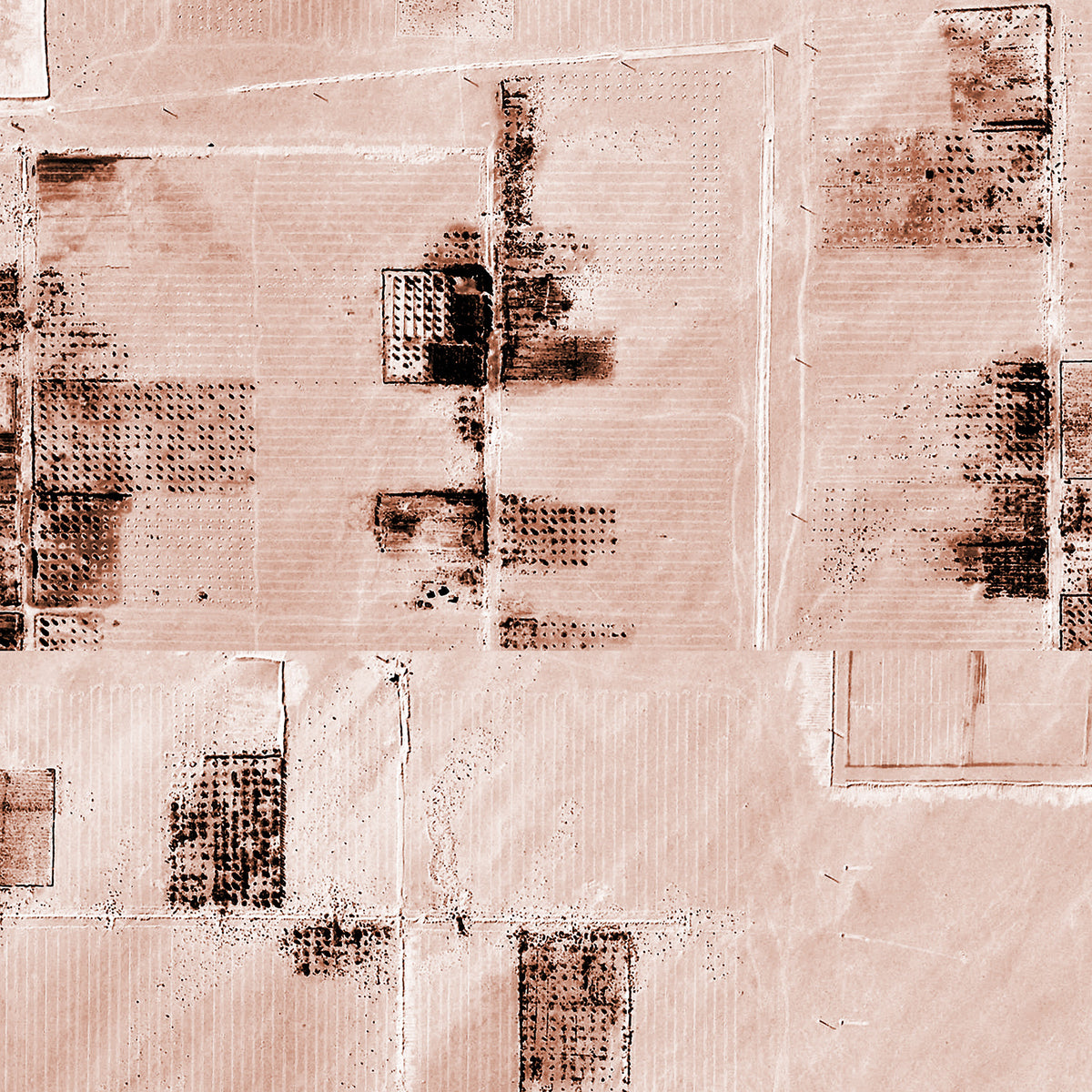 PDNTDL1912005 zoom_49