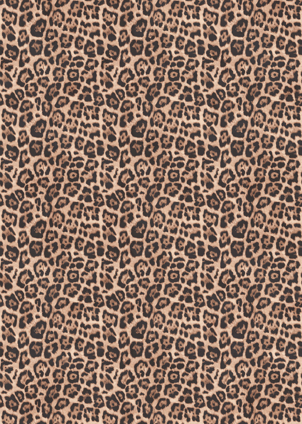 Leopard panoramic wallpaper