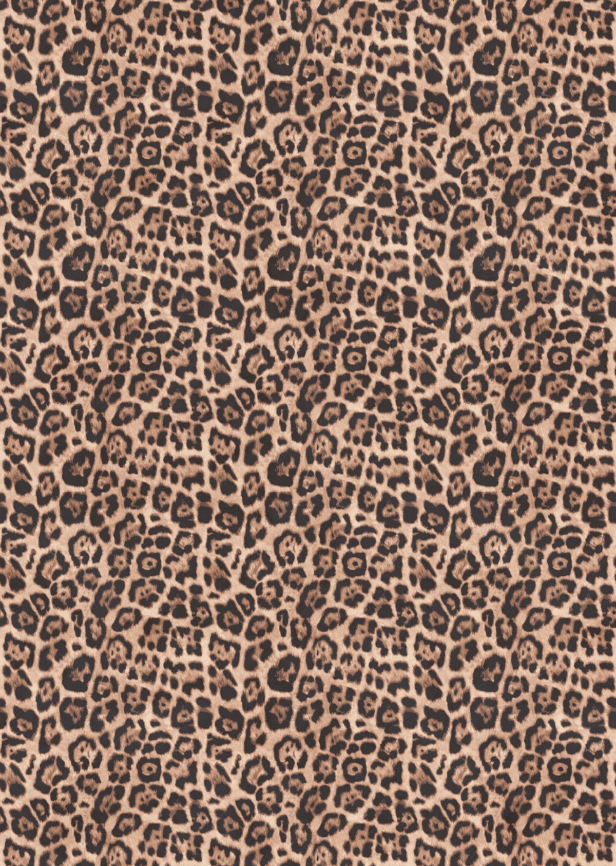 Papier peint panoramique Léopard