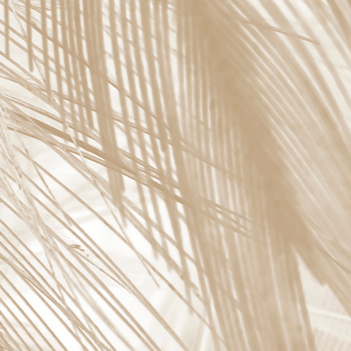 PDNTDL24-030 zoom_49