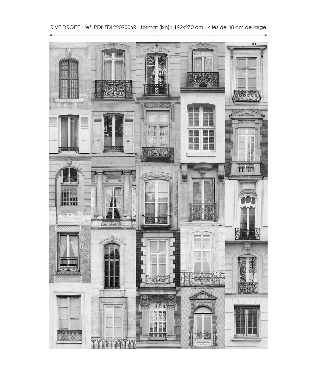 Papier peint panoramique Rive Droite