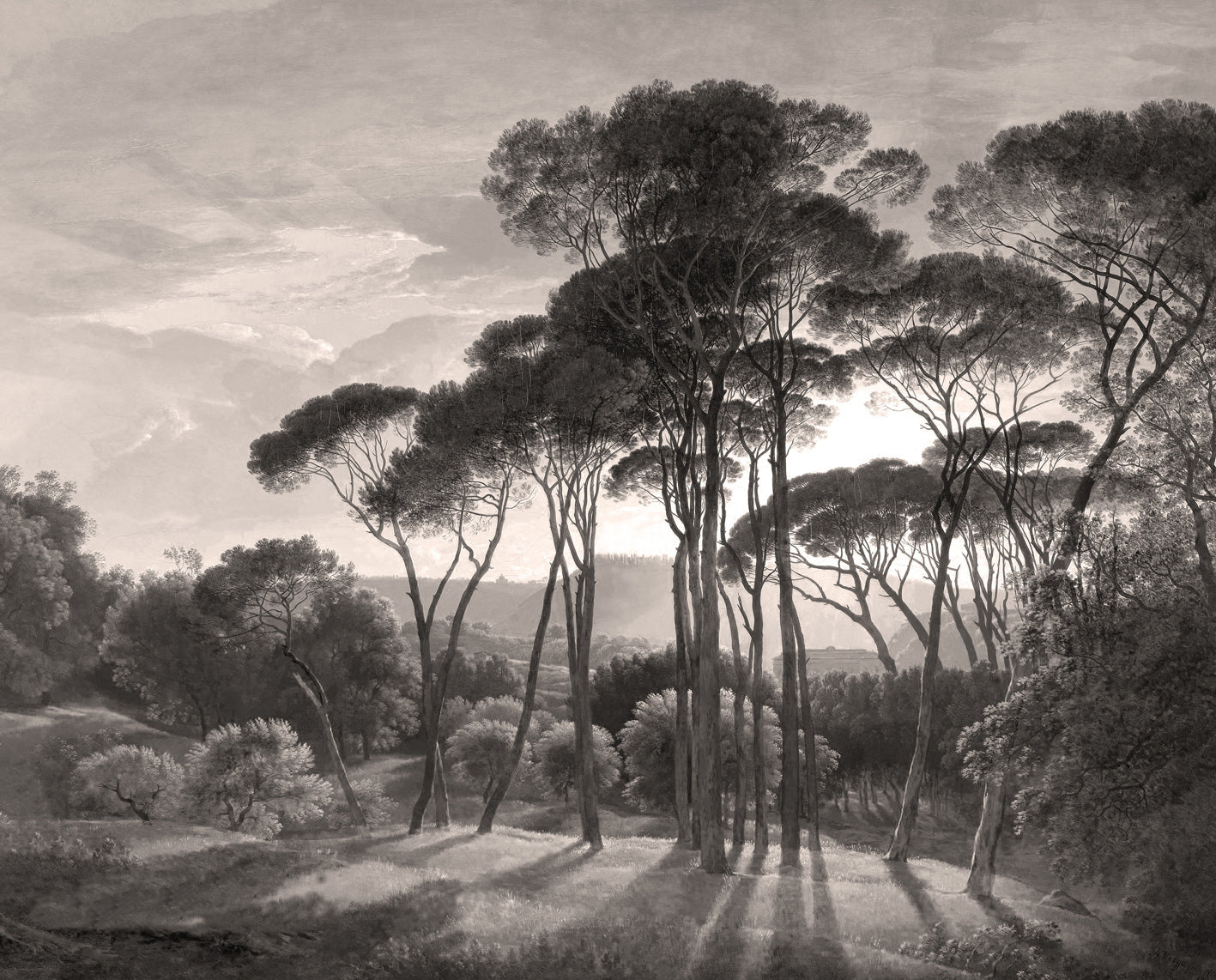 Papier peint panoramique Ombrelli