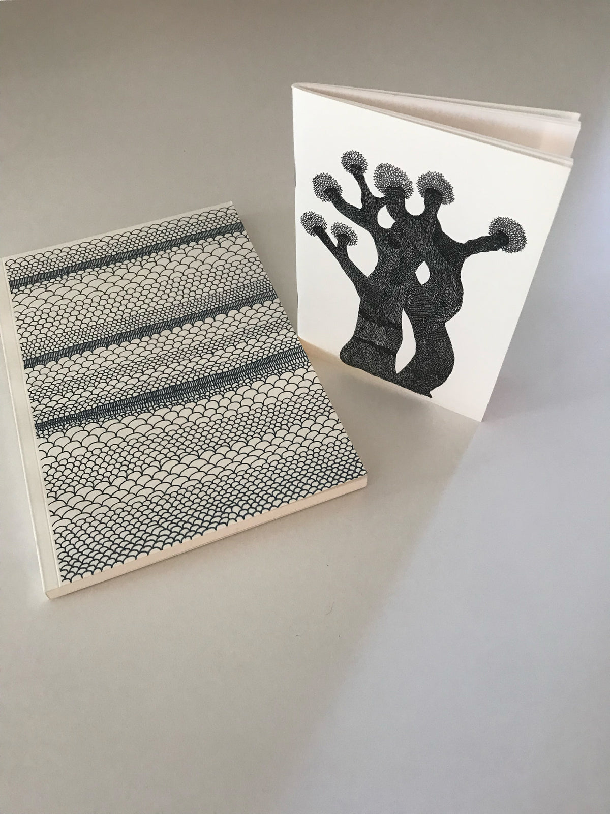 Carnet A5 + carnet A6
