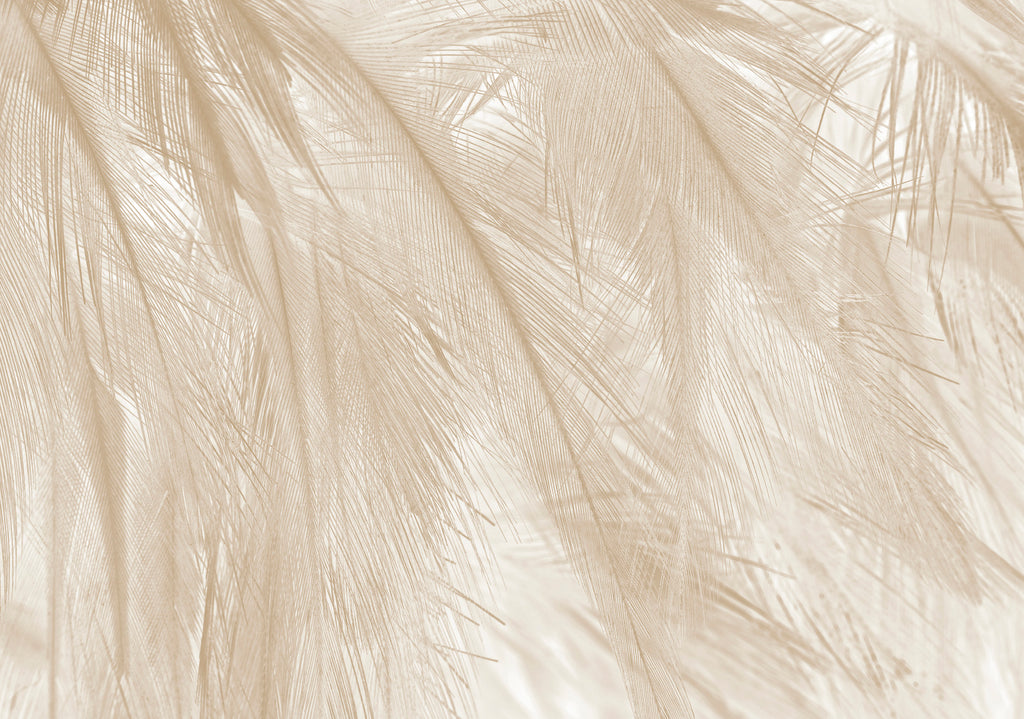 Papier peint panoramique Soft