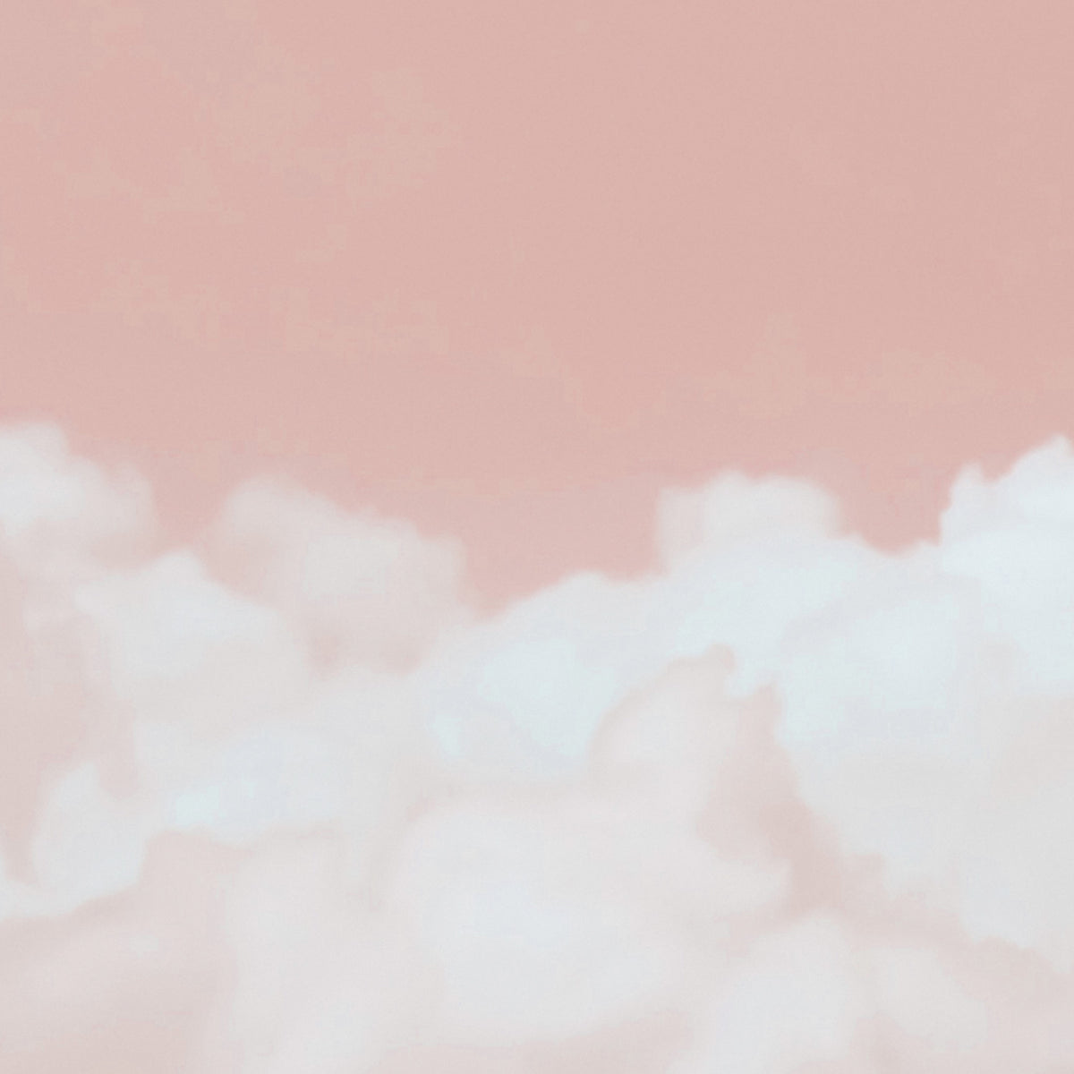 PDNTDL2110003 zoom_49
