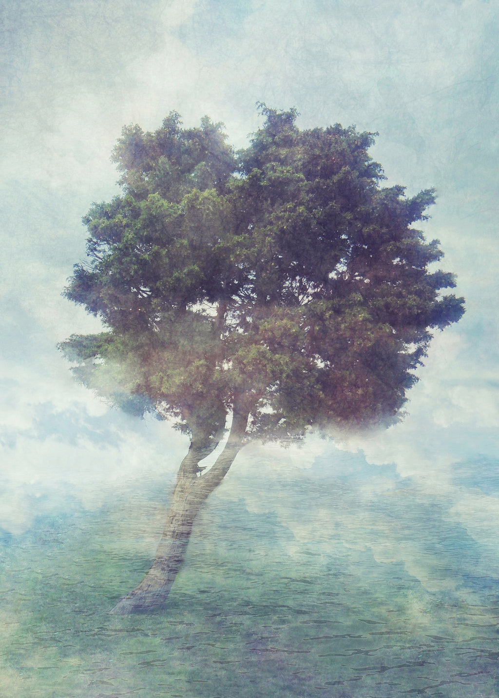 Papier peint panoramique Misty Tree