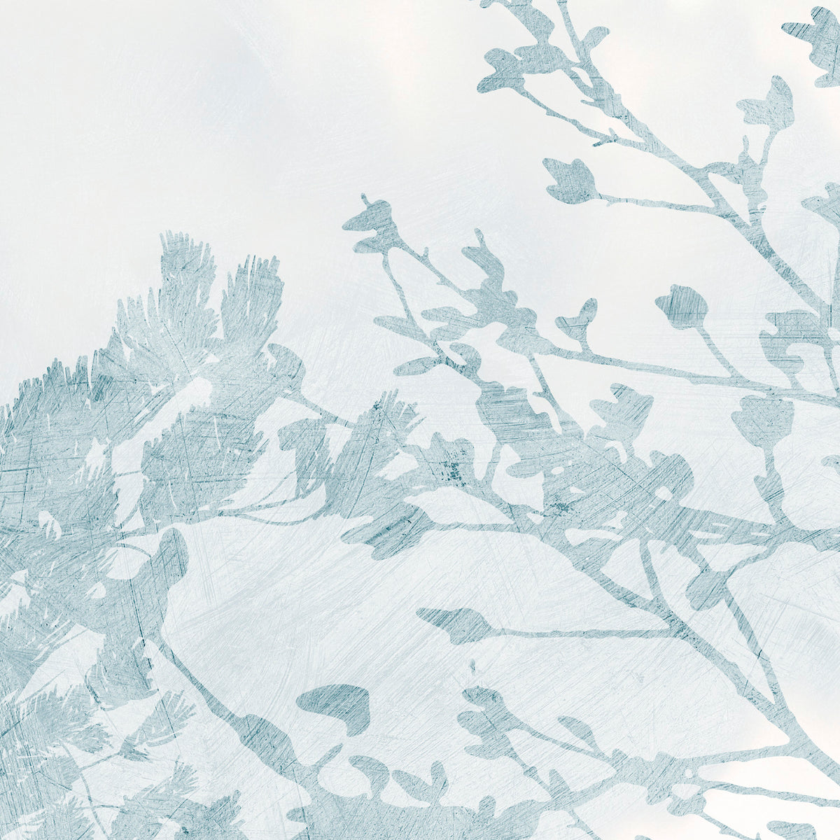 PDNTDL24-031 zoom_49