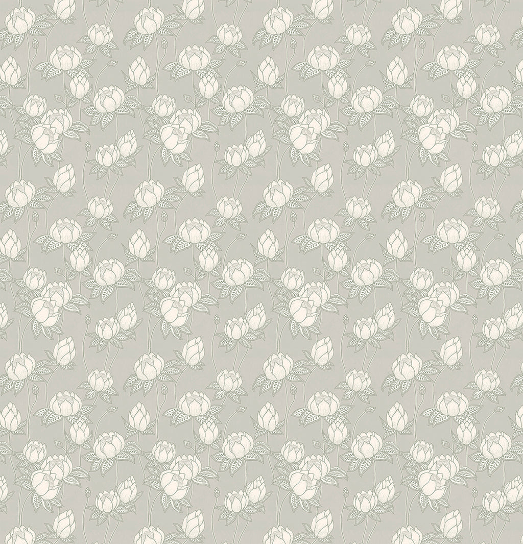 Papier peint panoramique Protea
