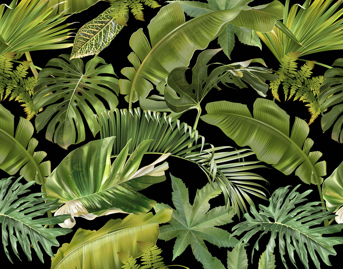 Guyana panoramic wallpaper