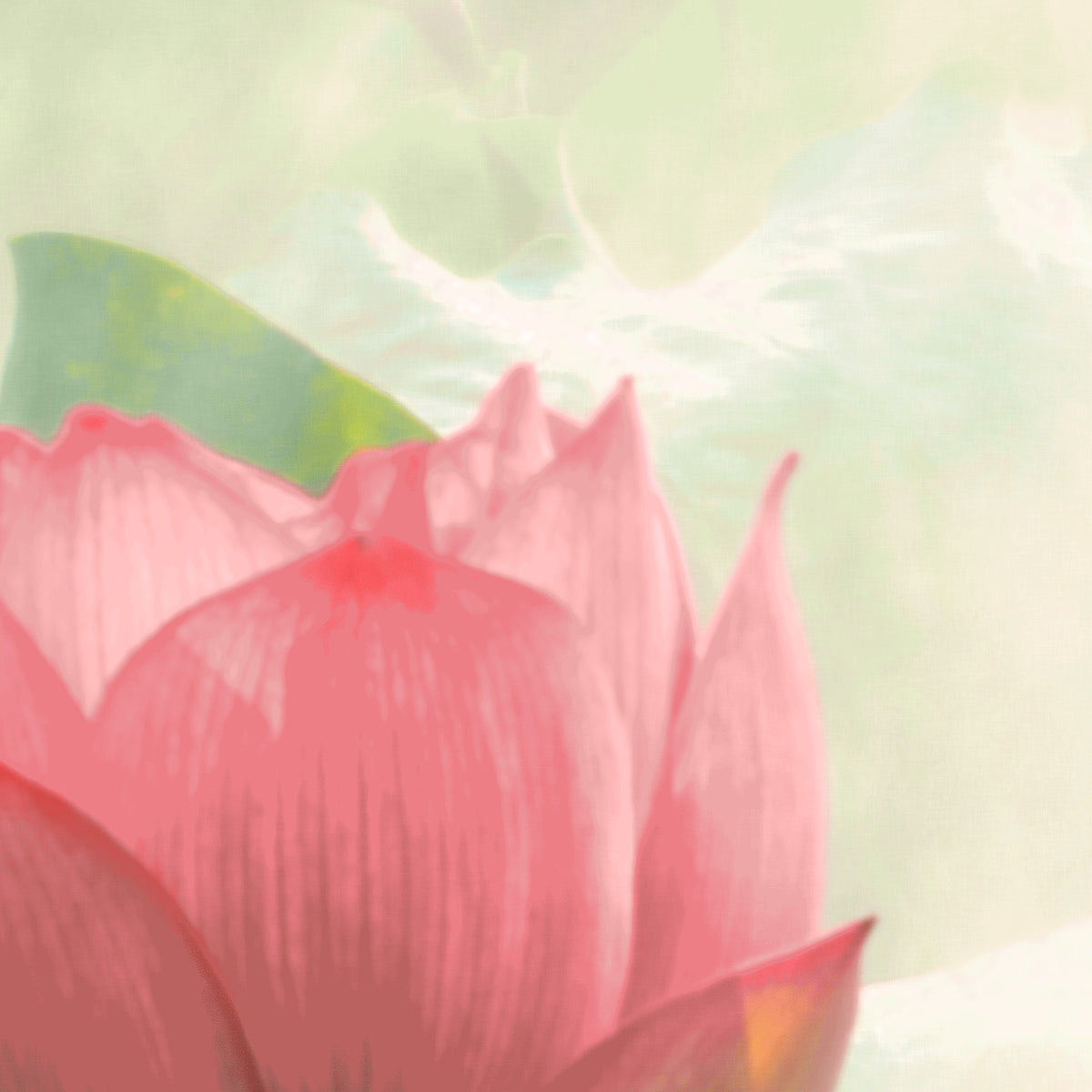 Papier peint panoramique Lilies